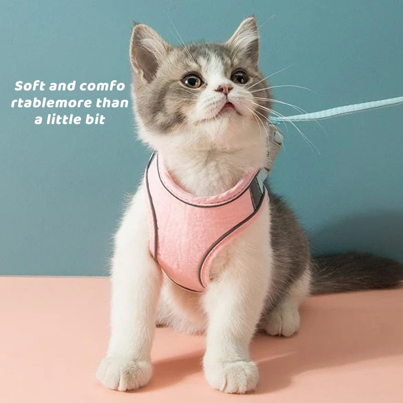 Cat Vest Harness and Leash Set