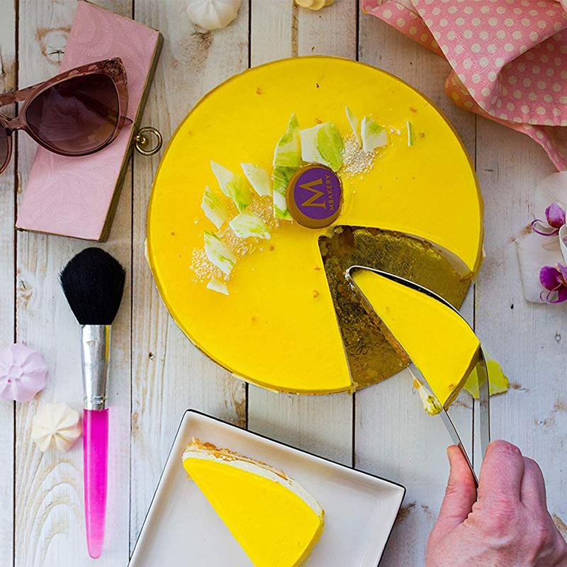 430 Stainless Steel Cake Slicer