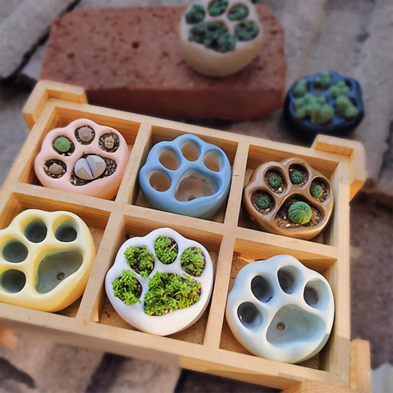 Cat Paw Garden Flower Pots